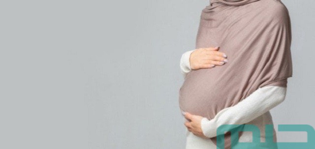 تفسير حلم الحمل في المنام تفسير حلم الحمل في المنام