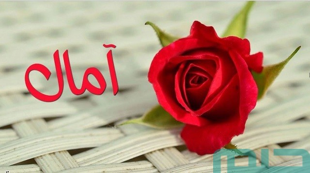 تفسير اسم آمال في المنام تفسير اسم آمال في المنام