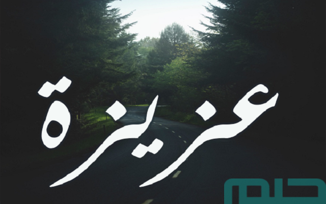 تفسير اسم عزيزة في المنام لابن سيرين تفسير اسم عزيزة في المنام لابن سيرين