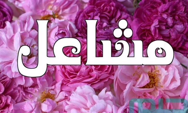 تفسير اسم مشاعل في المنام تفسير اسم مشاعل في المنام