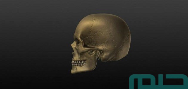 تفسير الجمجمة في المنام للعزباء تفسير الجمجمة في المنام للعزباء