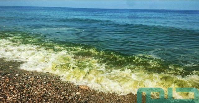 تفسير الماء باللون الأخضر في المنام تفسير الماء باللون الأخضر في المنام