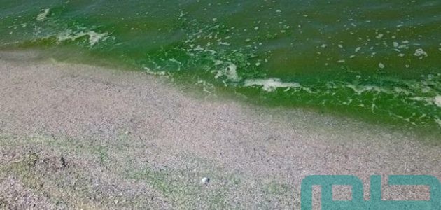 تفسير حلم رؤية الماء باللون الأخضر في المنام وعلاقته بانتهاء الأحزان 1 تفسير الماء باللون الأخضر في المنام