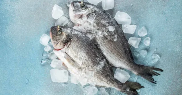 تفسير حلم اكل السمك في المنام للمتزوجة