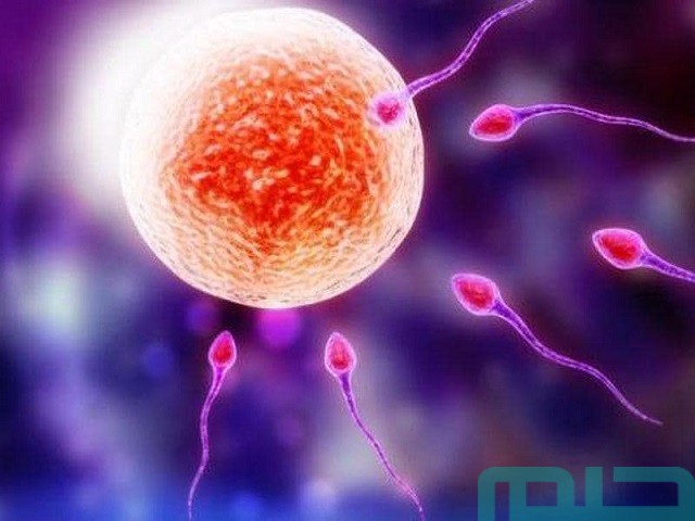 تفسير حلم التبويض للمتزوجة