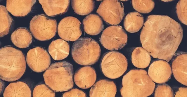 تفسير حلم الخشب في المنام لابن سيرين