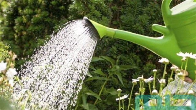 تفسير حلم الزرع في المنام