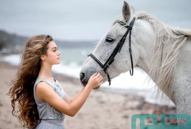 تفسير حلم حصان يحبني في المنام تفسير حلم حصان يحبني في المنام