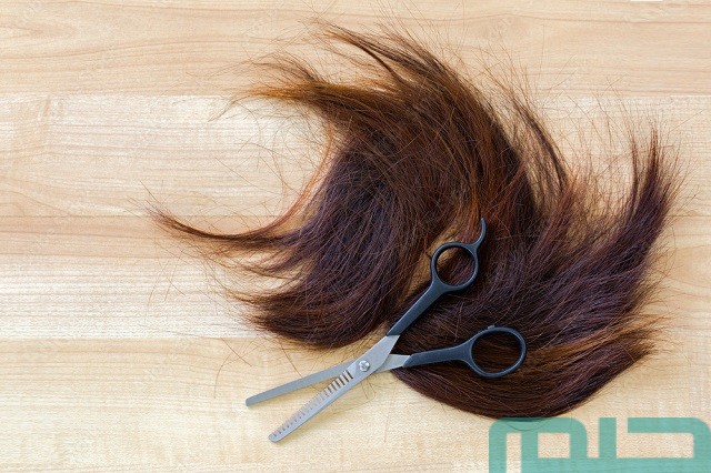 تفسير حلم حلق الشعر