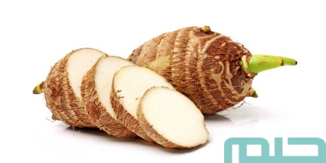 تفسير حلم رؤية القلقاس