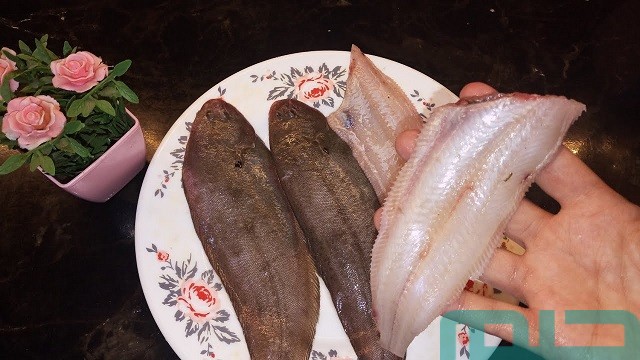 تفسير حلم سمك موسى تفسير حلم سمك موسى