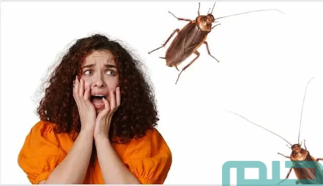 تفسير حلم صراصير تخرج من الشعر