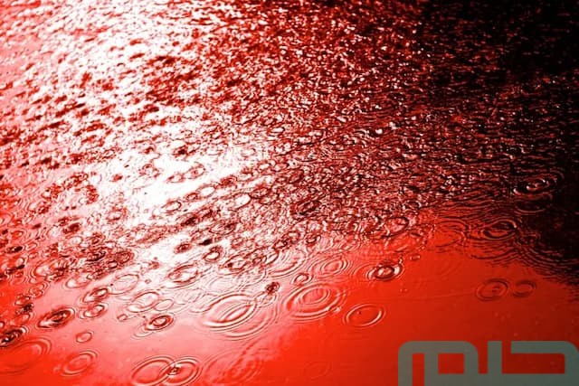 تفسير حلم نزول دم من السماء تفسير حلم نزول دم من السماء