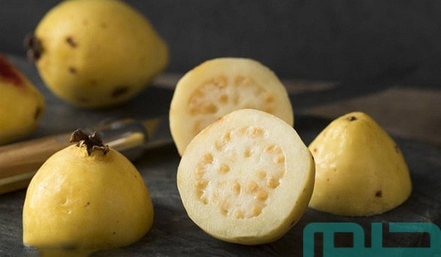 تفسير رؤية الجوافة في المنام لابن سيرين تفسير رؤية الجوافة في المنام لابن سيرين