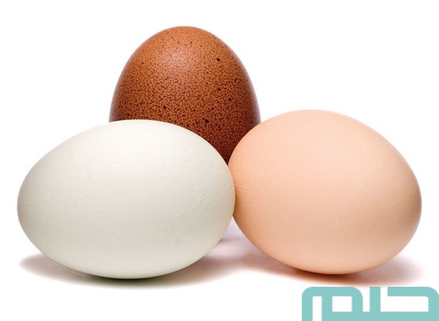 تفسير رؤية ثلاثة بيضات في المنام تفسير رؤية ثلاثة بيضات في المنام