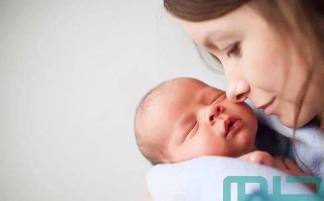 تفسير رؤية ولادة بنت من حبيبها تفسير رؤية ولادة بنت من حبيبها