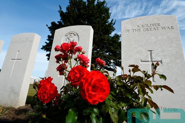 تفسير وضع الورد على القبر تفسير وضع الورد على القبر