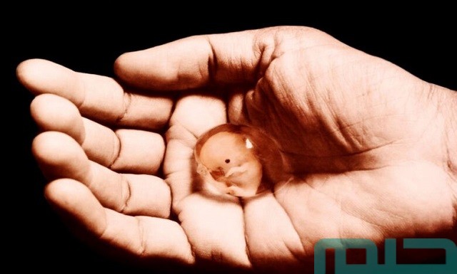 ما تفسير حلم إجهاض الجنين لغير الحامل؟ ما تفسير حلم إجهاض الجنين لغير الحامل؟