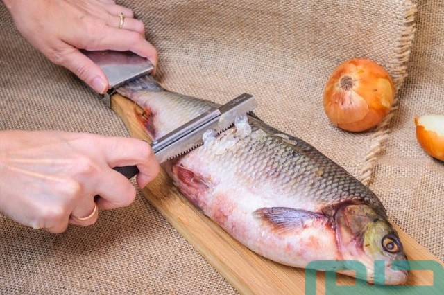 ما تفسير حلم الميت ينظف السمك؟