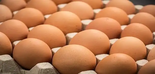 تفسير حلم رؤية الميت يطلب بيضًا في المنام وعلاقته بتحقيق الطموح 1 ما تفسير رؤية الميت يطلب بيضًا في المنام للمتزوجة؟