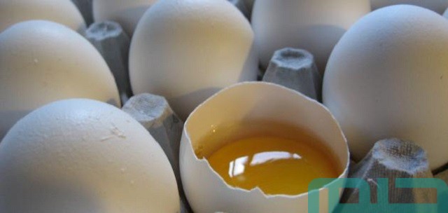 تفسير حلم رؤية الميت يطلب بيضًا في المنام وعلاقته بتحقيق الطموح 2 ما تفسير رؤية الميت يطلب بيضًا في المنام للمتزوجة؟