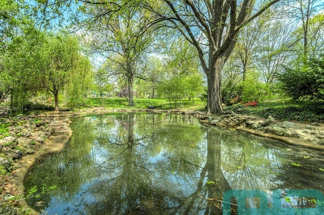 ما تفسير رؤية بركة الماء في المنام؟