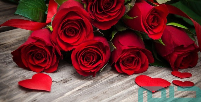 ما معنى الوردة الحمراء في المنام ما معنى الوردة الحمراء في المنام