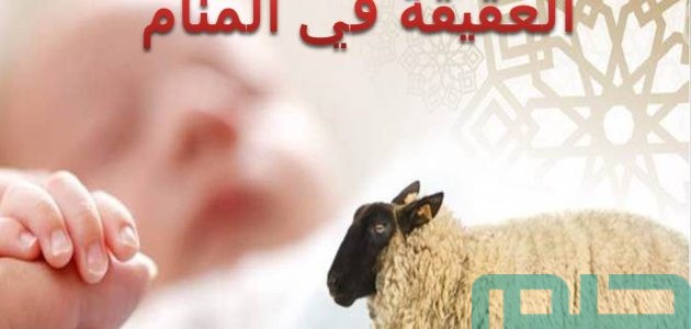 تفسير حلم رؤية العقيقة في المنام وعلاقته بالخير 1 ما هو تفسير رؤية العقيقة في المنام لابن سيرين