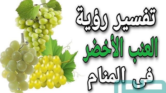 تفسير حلم العنب الأخضر تفسير حلم العنب الأخضر