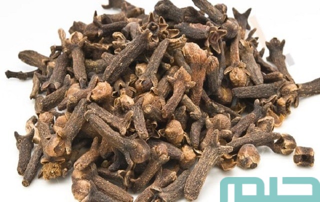 تفسير حلم القرنفل في المنام تفسير حلم القرنفل في المنام