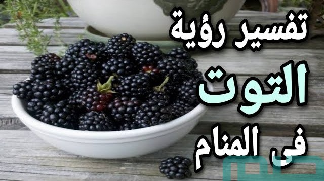 تفسير حلم رؤية التوت تفسير حلم رؤية التوت