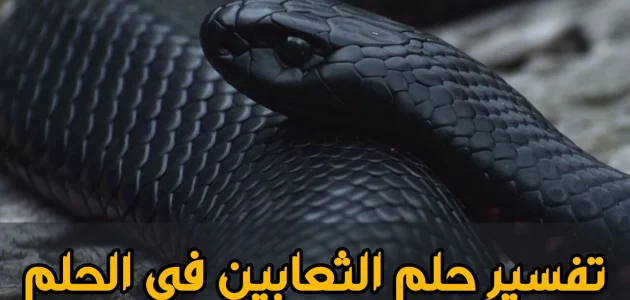 تفسير حلم رؤية الثعبان فى المنام وعلاقته بالشفاء والمرض 1 تفسير حلم رؤية الثعبان فى المنام