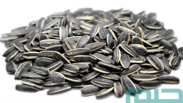 تفسير حلم رؤية اللب في المنام تفسير حلم رؤية اللب في المنام