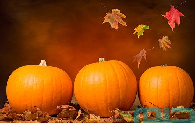 تفسير حلم رؤية اليقطين في المنام تفسير حلم رؤية اليقطين في المنام