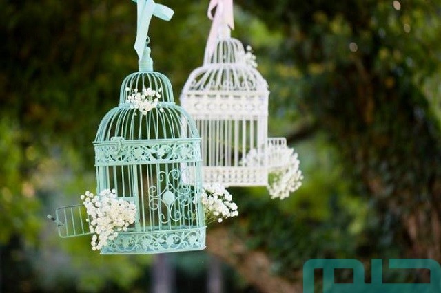 تفسير حلم رؤية قفص الطير تفسير حلم رؤية قفص الطير