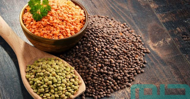 رؤية العدس في المنام رؤية العدس في المنام