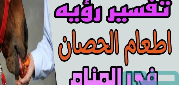 تفسير حلم رؤية إطعام الحصان في المنام وعلاقتها بالخطوبة والزواج 1 تفسير إطعام الحصان في المنام