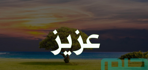تفسير حلم رؤية اسم عزيز في المنام وعلاقته بالعزة 1 تفسير اسم عزيز في المنام
