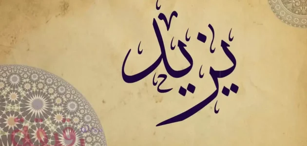 تفسير حلم رؤية اسم يزيد في المنام وعلاقته بالوضع المالي 1 تفسير اسم يزيد في المنام لابن سيرين