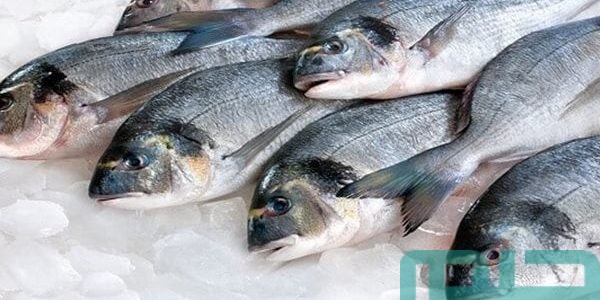 تفسير حلم رؤية السمك في المنام للعزباء وعلاقته بالرزق الوفير 1 تفسير السمك في المنام