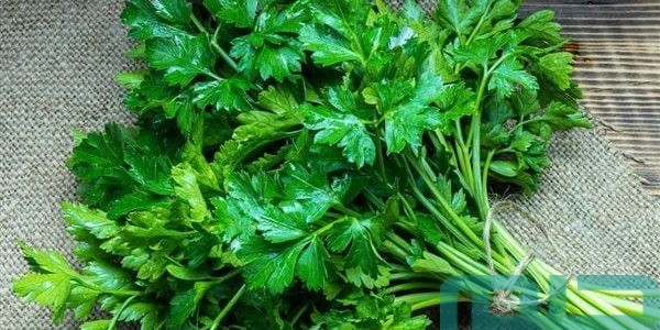 تفسير حلم البقدونس فى المنام 1 تفسير حلم البقدونس