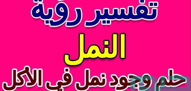 تفسير حلم رؤية وجود نمل في الأكل في المنام وعلاقته بالعادات الصحيحة 1 تفسير حلم وجود نمل في الأكل