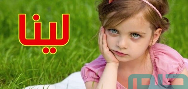 تفسير حلم رؤية اسم لينا في المنام للعزباء 1 تفسير رؤية اسم لينا في المنام
