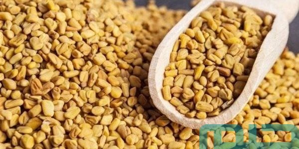 تفسير حلم رؤية الحلبة في المنام 1 حلم الحلبة في المنام