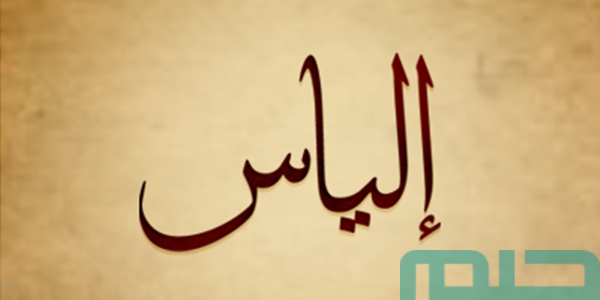 تفسير حلم رؤية اسم إلياس في المنام وعلاقته بالأعمال الصالحة 1 ما معنى اسم إلياس في المنام لابن سيرين