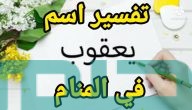 تفسير حلم رؤية اسم يعقوب في المنام وعلاقتها بالخير والبركة
