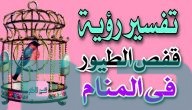 دلالات تفسير حلم رؤية قفص الطير في المنام
